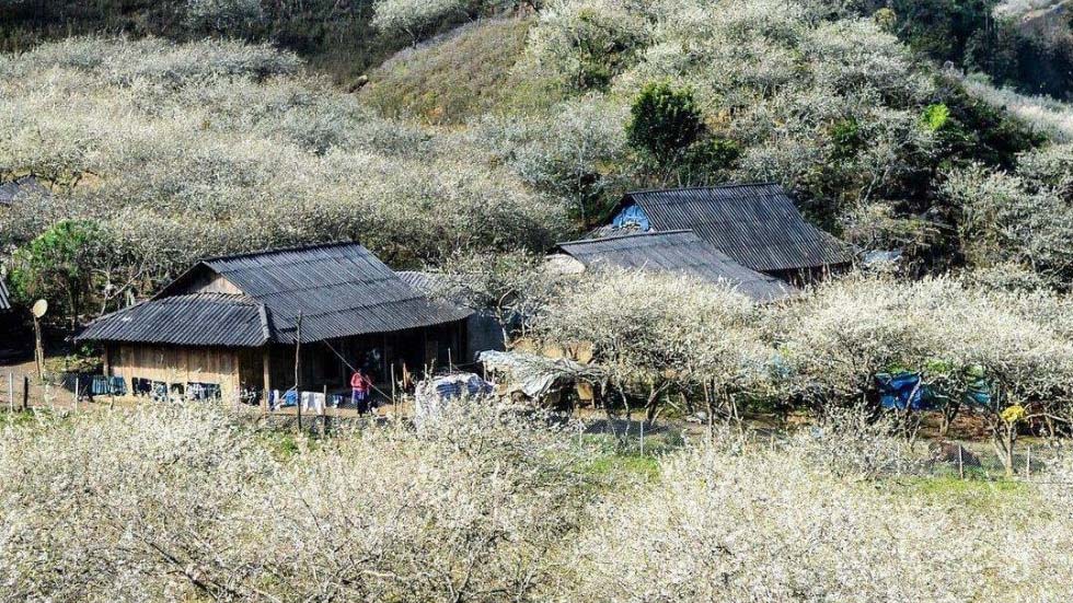 Moc Chau