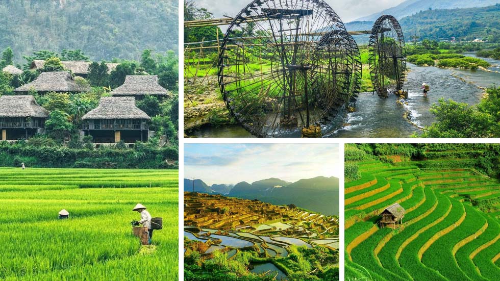 Mai Chau Pu Luong